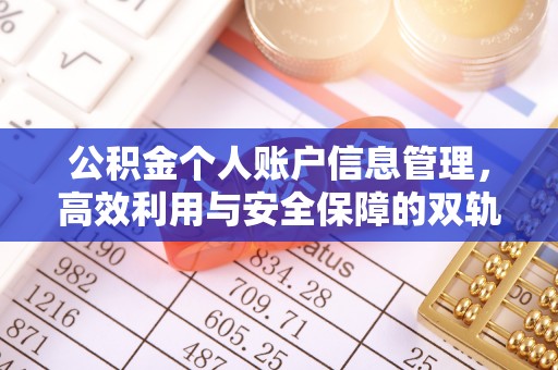 盐埕公积金个人账户信息管理，高效利用与安全保障的双轨并行