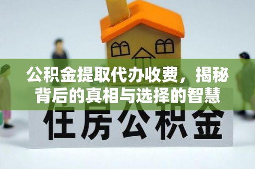 盐埕公积金提取代办收费，揭秘背后的真相与选择的智慧
