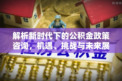 盐埕解析新时代下的公积金政策咨询，机遇、挑战与未来展望