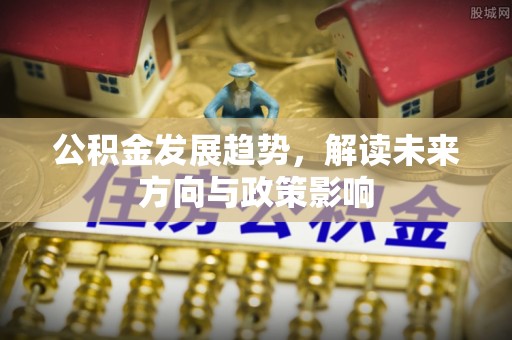 盐埕公积金发展趋势，解读未来方向与政策影响