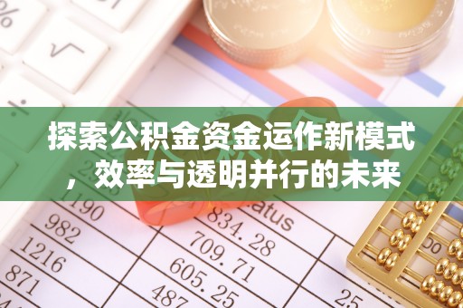 盐埕探索公积金资金运作新模式，效率与透明并行的未来