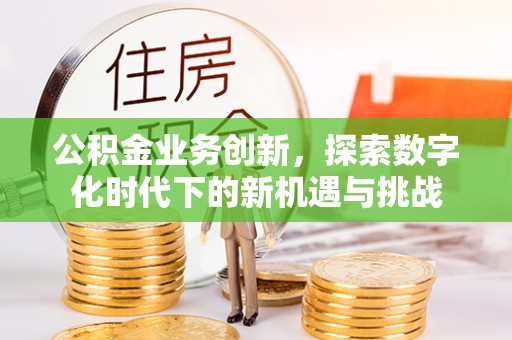 盐埕公积金业务创新，探索数字化时代下的新机遇与挑战