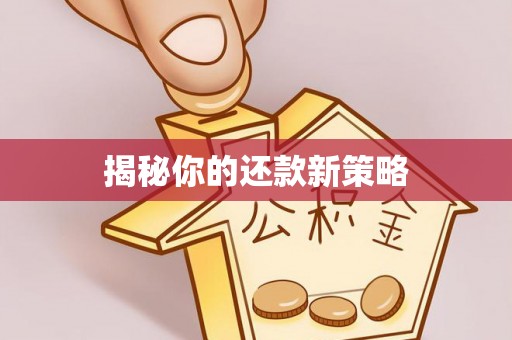 盐埕揭秘你的还款新策略