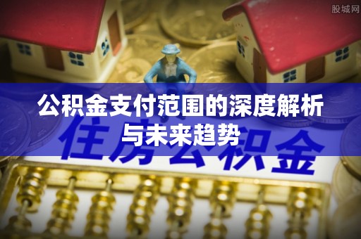 盐埕公积金支付范围的深度解析与未来趋势
