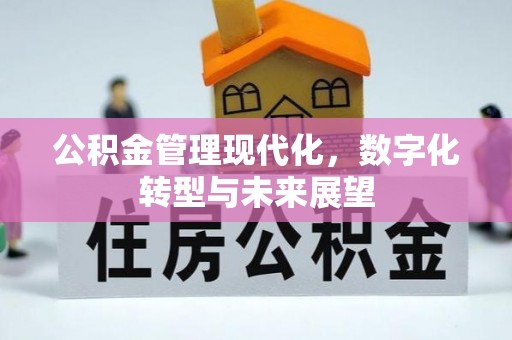 盐埕公积金管理现代化，数字化转型与未来展望