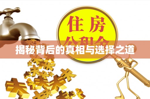 盐埕揭秘背后的真相与选择之道