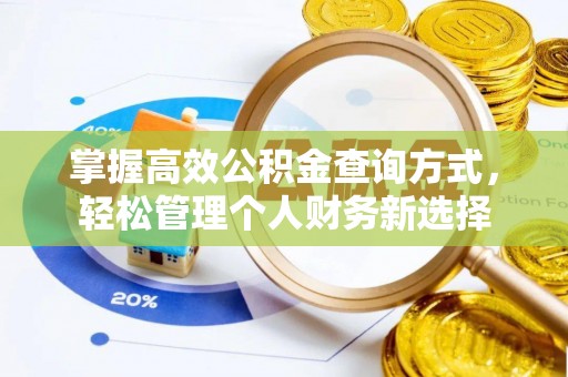 盐埕掌握高效公积金查询方式，轻松管理个人财务新选择
