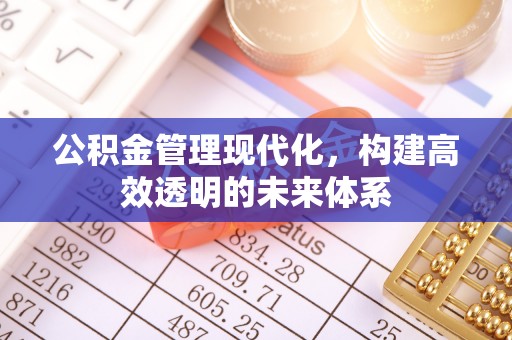 盐埕公积金管理现代化，构建高效透明的未来体系