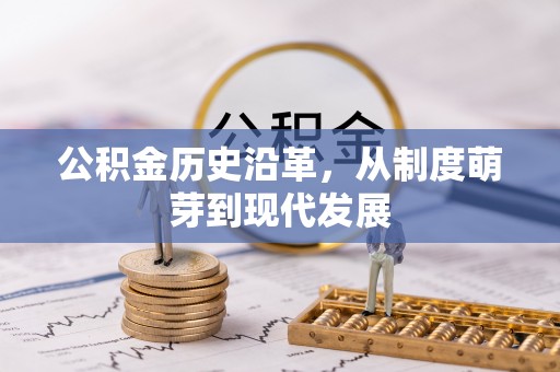 盐埕公积金历史沿革，从制度萌芽到现代发展