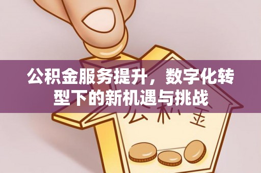 盐埕公积金服务提升，数字化转型下的新机遇与挑战