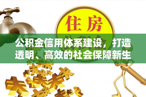 盐埕公积金信用体系建设，打造透明、高效的社会保障新生态