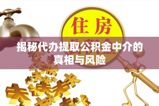盐埕揭秘代办提取公积金中介的真相与风险