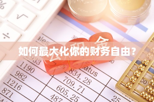 盐埕如何最大化你的财务自由？