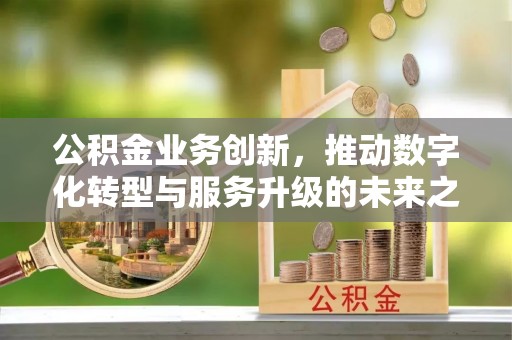 盐埕公积金业务创新，推动数字化转型与服务升级的未来之路