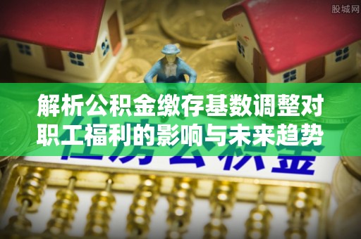 盐埕解析公积金缴存基数调整对职工福利的影响与未来趋势