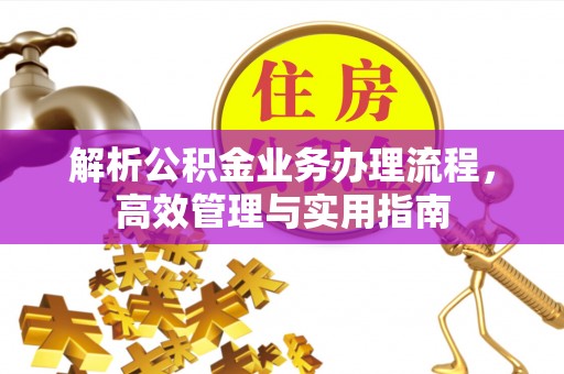 盐埕解析公积金业务办理流程，高效管理与实用指南