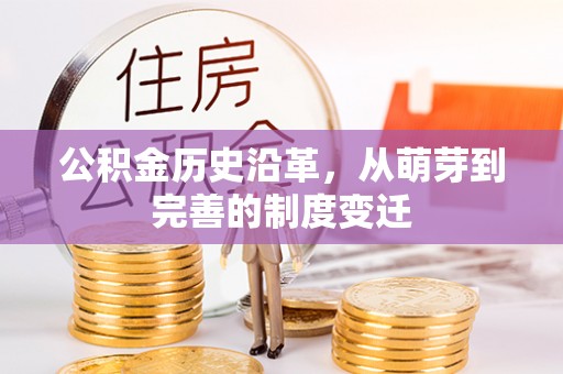 盐埕公积金历史沿革，从萌芽到完善的制度变迁