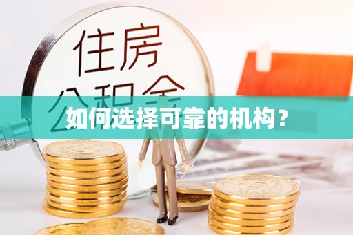 盐埕如何选择可靠的机构？