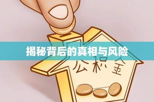 盐埕揭秘背后的真相与风险