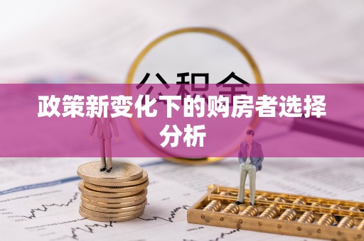 盐埕政策新变化下的购房者选择分析