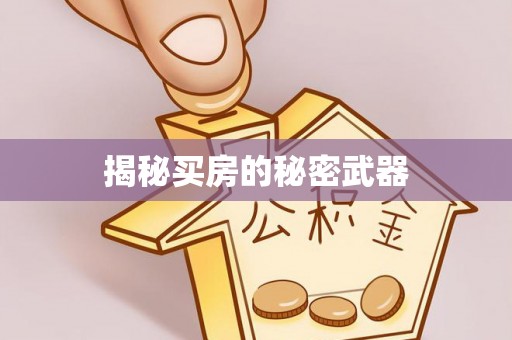 盐埕揭秘买房的秘密武器