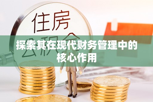 盐埕探索其在现代财务管理中的核心作用