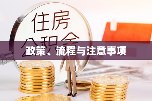 盐埕政策、流程与注意事项