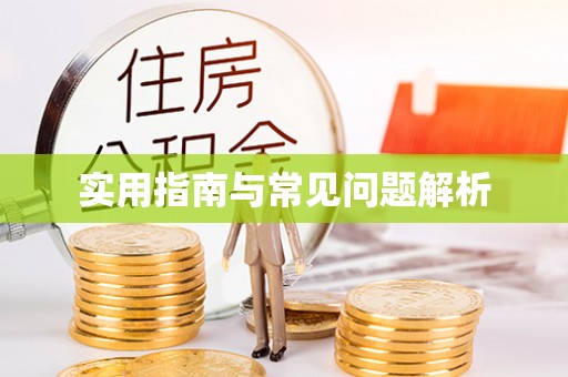 盐埕实用指南与常见问题解析