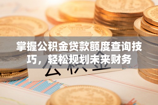 盐埕掌握公积金贷款额度查询技巧，轻松规划未来财务