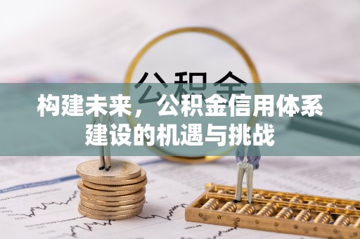 盐埕构建未来，公积金信用体系建设的机遇与挑战