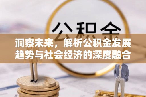 盐埕洞察未来，解析公积金发展趋势与社会经济的深度融合