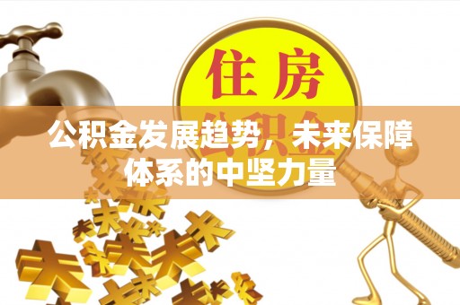 盐埕公积金发展趋势，未来保障体系的中坚力量