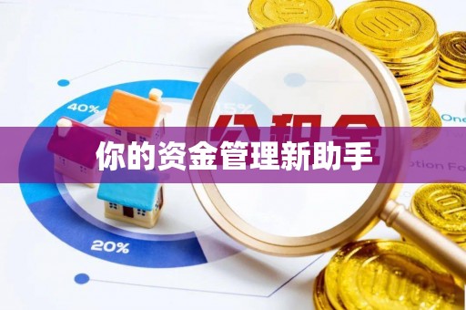 盐埕你的资金管理新助手