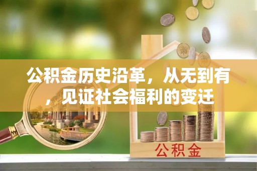 盐埕公积金历史沿革，从无到有，见证社会福利的变迁