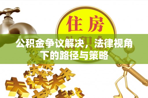 盐埕公积金争议解决，法律视角下的路径与策略