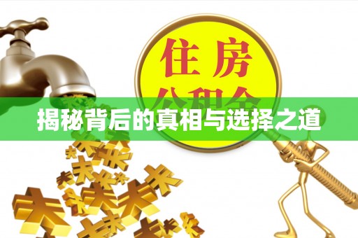 盐埕揭秘背后的真相与选择之道