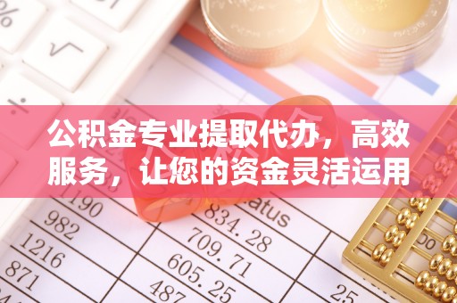 盐埕公积金专业提取代办，高效服务，让您的资金灵活运用