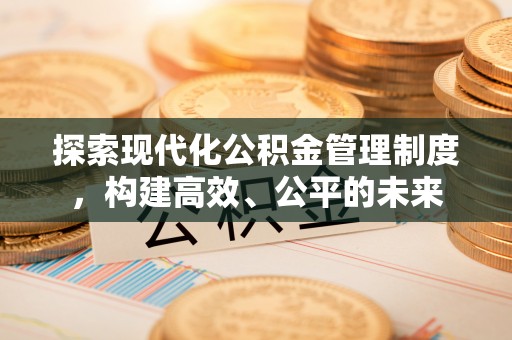 盐埕探索现代化公积金管理制度，构建高效、公平的未来