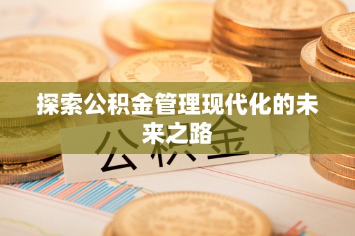 盐埕探索公积金管理现代化的未来之路