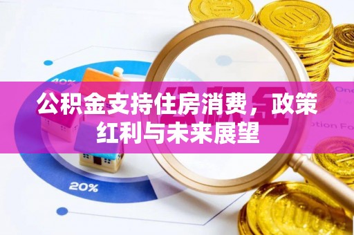 盐埕公积金支持住房消费，政策红利与未来展望