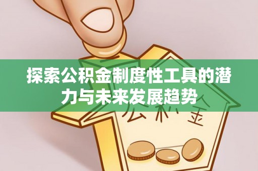 盐埕探索公积金制度性工具的潜力与未来发展趋势