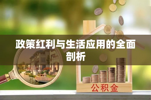 盐埕政策红利与生活应用的全面剖析