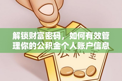盐埕解锁财富密码，如何有效管理你的公积金个人账户信息
