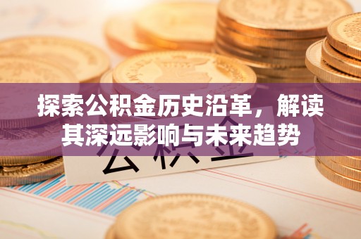 盐埕探索公积金历史沿革，解读其深远影响与未来趋势