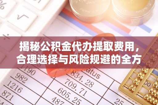 盐埕揭秘公积金代办提取费用，合理选择与风险规避的全方位解析