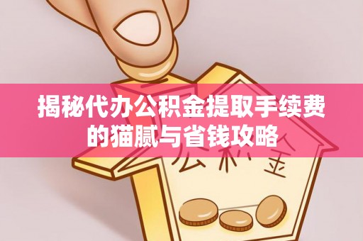 盐埕揭秘代办公积金提取手续费的猫腻与省钱攻略