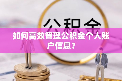 盐埕如何高效管理公积金个人账户信息？
