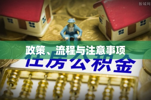 盐埕政策、流程与注意事项