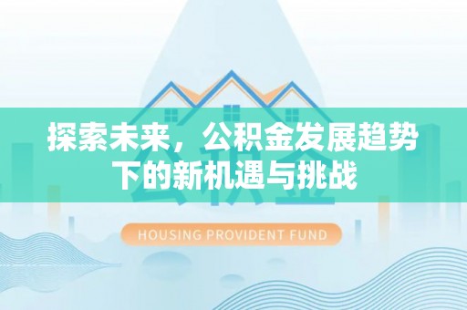 盐埕探索未来，公积金发展趋势下的新机遇与挑战