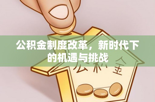 盐埕公积金制度改革，新时代下的机遇与挑战